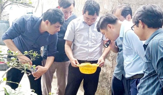 Siết chặt giám sát sốt xuất huyết tại Nghệ An trước mùa dịch
