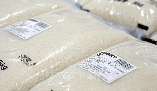 Chuyên gia dự báo giá gạo toàn cầu có thể tăng mạnh