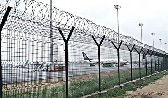 Nguy cơ mất an toàn hàng không từ động vật lọt vào khu bay