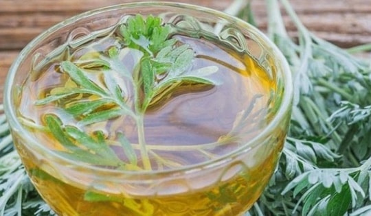 3 cách sử dụng ngải cứu làm sáng da hiệu quả tại nhà