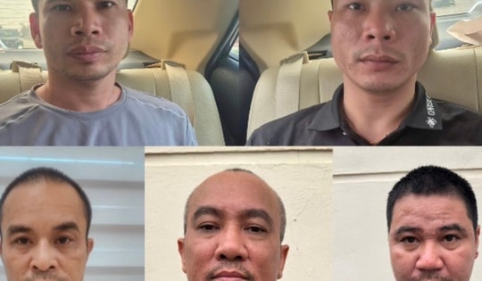 Bắt ổ nhóm trộm hơn 300 con mèo ở Hà Nội