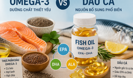 4 điểm khác biệt chính giữa omega-3 và dầu cá, lựa chọn loại nào phù hợp nhất với bạn?