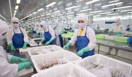 KBSV nhận định, tiềm năng tăng giá của cổ phiếu FMC có thể đạt 47%