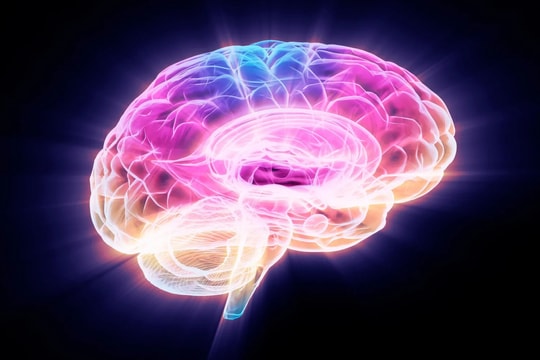 Phát hiện loại protein đẩy nhanh quá trình lão hóa não