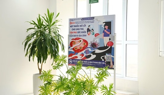 Cấm thuốc lá mới, mở rộng môi trường không khói thuốc: Kinh nghiệm quốc tế và bài toán thực thi tại Việt Nam