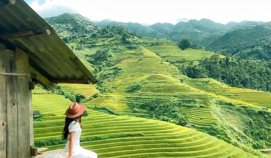 Y học cổ truyền ‘bắt tay’ du lịch y tế: Từ cội nguồn lịch sử đến hướng đi tương lai