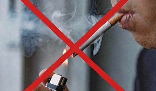 Chuyên gia chống độc: Đã đến lúc 'khai tử' thuốc lá