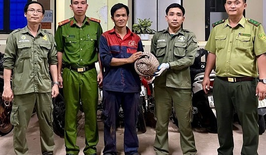 Phát hiện tê tê quý hiếm, người dân báo công an giao nộp cho Hạt kiểm lâm