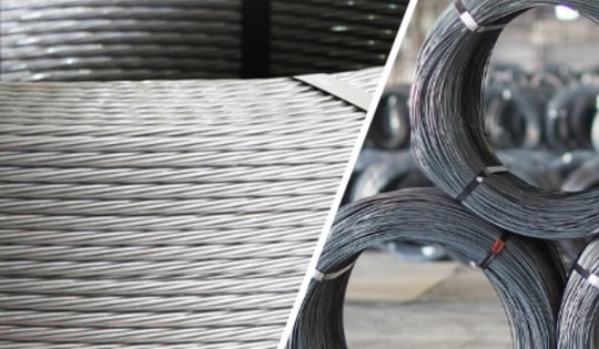 Công ty Xuất nhập khẩu Thiên Nam vi phạm chứng khoán