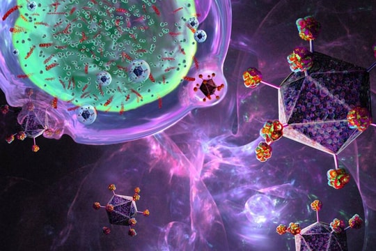 Lần đầu ‘tái thiết lập’ hệ miễn dịch, cứu sống bệnh nhân mắc 3 bệnh tự miễn nguy hiểm