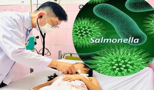 TPHCM: Mẫu xét nghiệm của học sinh Trường Bình Quới Tây dương tính Salmonella