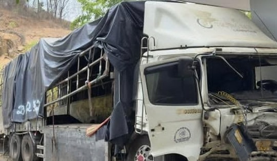 Khởi tố vụ án xe tải lao xuống vực khiến 3 người tử vong ở Lâm Đồng