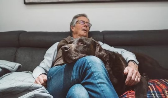 4 rối loạn giấc ngủ có thể là dấu hiệu cảnh báo sa sút trí tuệ