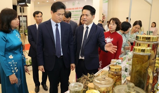 Thứ trưởng Thường trực Vũ Mạnh Hà nêu 5 định hướng nâng tầm dược liệu Việt giai đoạn mới