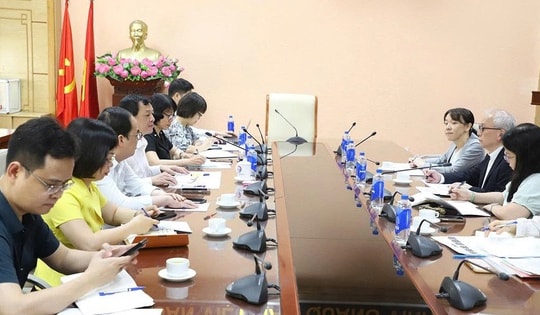 Thứ trưởng Nguyễn Tri Thức trao đổi với chuyên gia cố vấn của JICA: Thúc đẩy hợp tác y tế Việt Nam - Nhật Bản