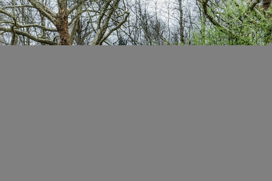 Chi phí lăn bánh phân khúc B-SUV: VinFast VF 6 sở hữu loạt ưu thế