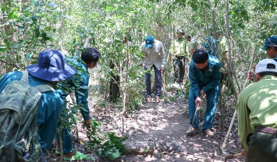 Khánh Hòa bảo vệ ‘lá phổi xanh’, phòng chống cháy rừng cấp 5
