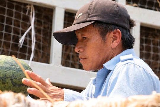 Người lao động Nghệ An oằn mình mưu sinh dưới cái nắng như đổ lửa