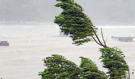 Khả năng xuất hiện bão mạnh trong mùa mưa bão năm nay thế nào?