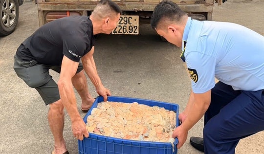 Phát hiện hơn nửa tấn lòng lợn bốc mùi hôi thối đang trên đường tiêu thụ