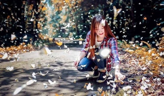 Không nên bắt bướm, xua đuổi bướm bay lên để chụp ảnh ở Vườn quốc gia Cúc Phương