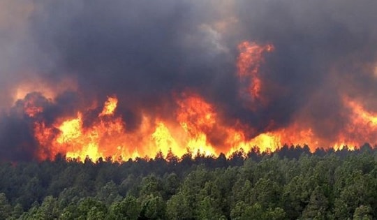 Cảnh báo sau những cơn mưa ngắn là nguy cơ cháy rừng tăng cao