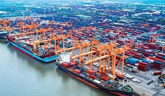 TPS khuyến nghị mua cổ phiếu VSC