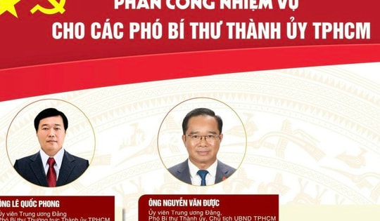 [Infographic] Phân công nhiệm vụ các Phó Bí thư Thành ủy TPHCM