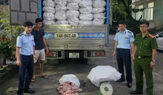 Ngăn chặn hơn 12 tấn chân lợn đông lạnh bốc mùi hôi ra thị trường