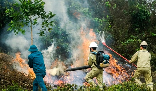 Nắng nóng, cảnh báo cháy rừng mức cao nhất ở nhiều khu vực