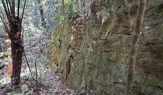 Sự thật về bức tường đá giữa rừng già