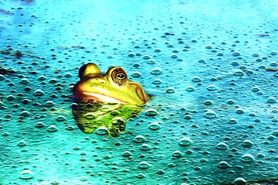 Lạm dụng AI có thể biến con người thành 'ếch luộc'