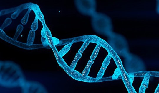 Phát hiện 17 triệu biến thể di truyền mới trong bộ gene của người Ai Cập