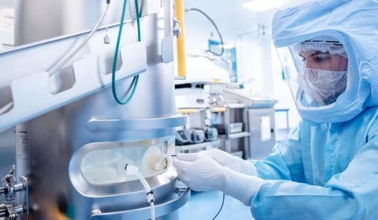 Phương pháp hỗ trợ điều trị ung thư bằng cấy ghép vi sinh đường ruột