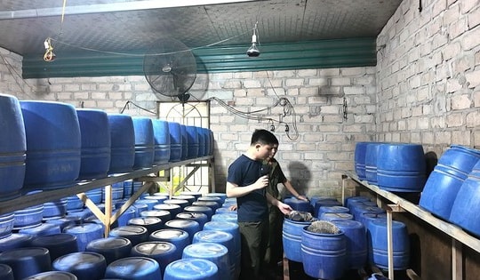 Cận cảnh nhà xưởng sản xuất 4 tấn giá đỗ sử dụng chất cấm