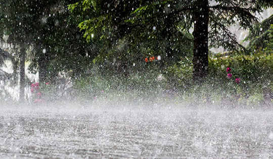 Cập nhật mới nhất thiệt hại do thiên tai dông lốc, mưa đá