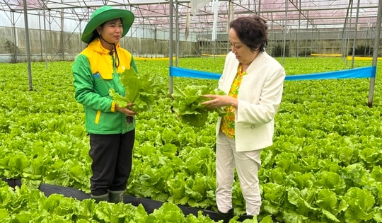 TPHCM định hướng trở thành trung tâm nghiên cứu, thử nghiệm và chuyển giao công nghệ nông nghiệp