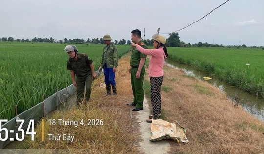 Cảnh báo nguy cơ chết người từ việc dùng điện bẫy chuột