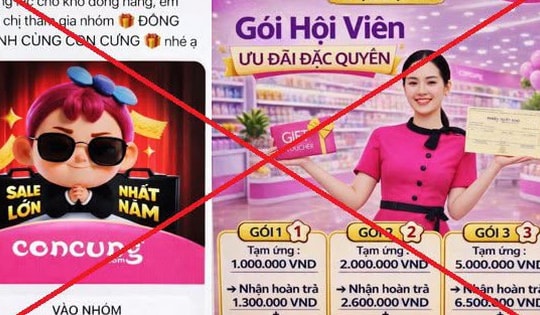 Người phụ nữ mất gần 1 tỷ đồng vì tham gia nhóm 'Đồng hành cùng Con Cưng' giả mạo