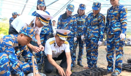 Vùng 4 Hải quân ươm, nhân giống 30.000 cây trồng thực hiện chương trình 'Xanh hóa Trường Sa'