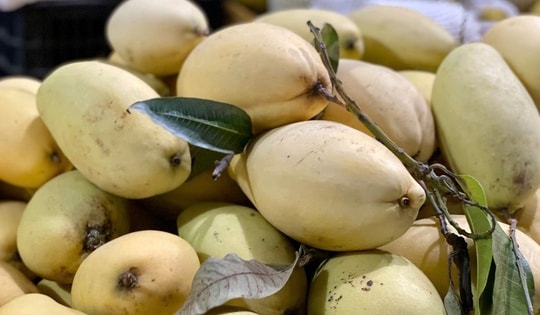 Một loại quả Việt bán đầy chợ giá rẻ bèo, xuất khẩu sang nước ngoài bán đắt như ‘vàng’