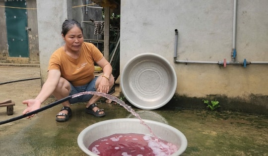 Phạt trang trại nuôi lợn hơn 400 triệu đồng vì xả thải vượt quy chuẩn