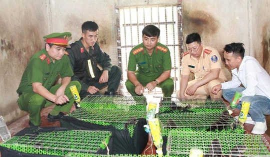 Ẩn mình trên mạng xã hội, đường dây buôn động vật quý hiếm vẫn "sa lưới"