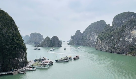 Siết chặt quản lý, tăng cường y tế bảo đảm an toàn trên Vịnh Hạ Long