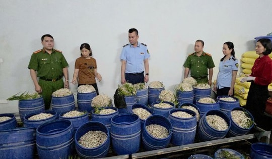 Quảng Ninh: Chủ tịch UBND xã, phường chịu trách nhiệm toàn diện về an toàn thực phẩm trên địa bàn