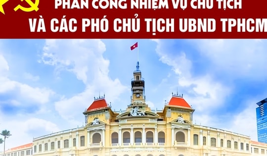 [Infographic] Phân công nhiệm vụ Chủ tịch và các Phó Chủ tịch UBND TPHCM nhiệm kỳ mới