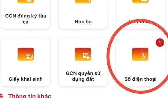 Không thấy số thuê bao di động trên VNeID cần làm gì?