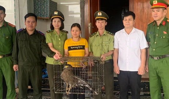 Người dân tự nguyện giao nộp 2 cá thể động vật quý hiếm