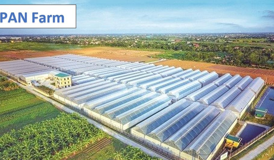 Cổ phiếu PAN đang ở mức giá hấp dẫn