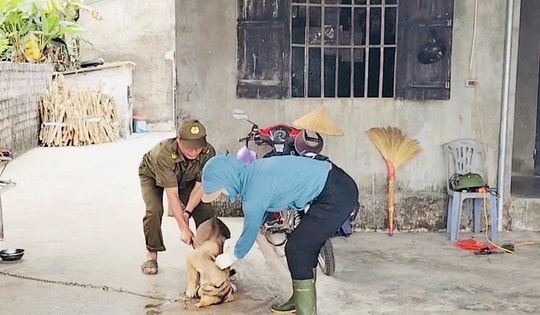 Cảnh giác bệnh dại tăng cao mùa nắng nóng